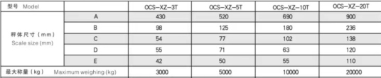 crane scale specification